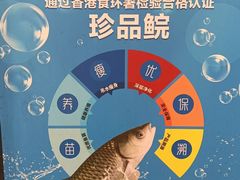 -龙悦湾酒家·八阵鱼生·渔人码头店