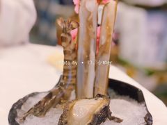 花竹虾-鲜入围煮花胶鸡海鲜火锅