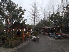 -青城甲(青城山店)