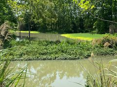 -桤木河湿地公园