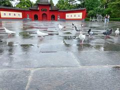 -洛阳白马寺