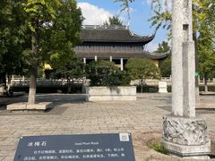 -红梅公园