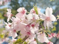 -新江湾城公园