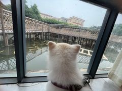 -陶缘一号·四季缘·老字号顺德菜·户外婚礼家宴(西滘店)