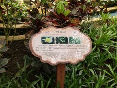 -南山植物园