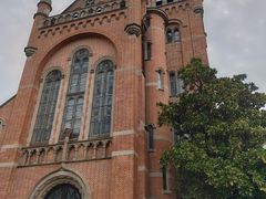 -上海佘山国家森林公园西佘山园