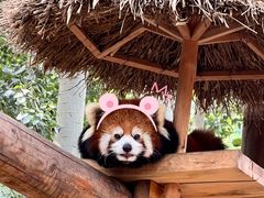 -北京野生动物园