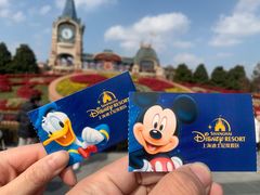 -上海迪士尼度假区