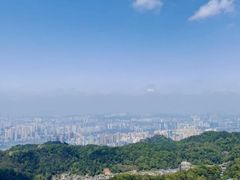 -大金鹰园