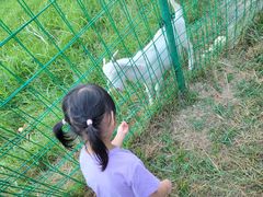 -福建鲤鱼洲酒店