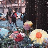 太古里的新年装置太美啦～