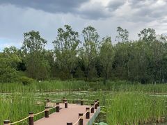 -翠湖国家城市湿地公园