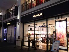 -COACH蔻驰(盛京奥特莱斯店)