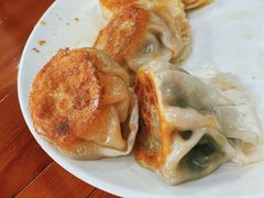 纯牧区羊肉煎烧麦-源玺源烧麦馆(东护城河南街店)