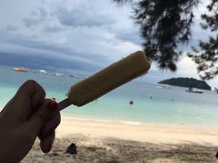 -东姑阿都拉曼海洋公园