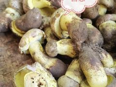 -野生菌火锅(菌王村店)