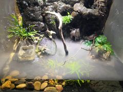 -常州海昌海洋探索馆