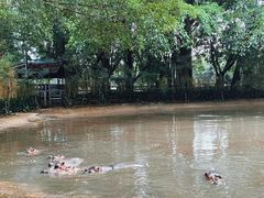 -广州长隆飞鸟乐园