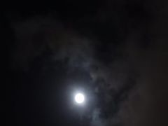 -七浦路服装批发市场