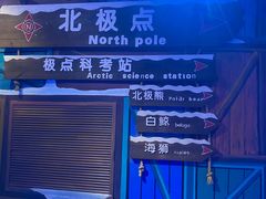 -海合安青岛极地海洋公园