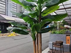 -梁溪河畔·吉府花园(南长街南下塘店)