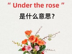 -菠萝国际教育专注Alevel·IGCSE·IB·AP·托福雅思培训辅导(静安校区)