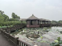 -梁鸿国家湿地公园