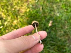 -武陵山森林公园