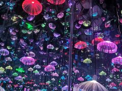 -上海梵高星空艺术馆(南京路旗舰店)