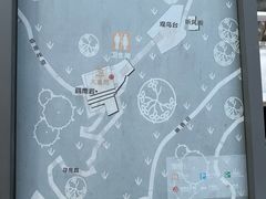-大金鹰园