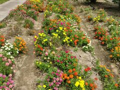 -广东花都香草世界旅游度假区