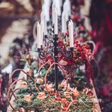 Onewedding婚礼策划丨美女与野兽