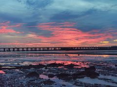 -宝安西湾红树林湿地公园