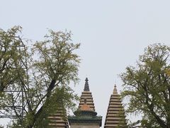 -北京石刻艺术博物馆(五塔寺)