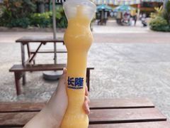 -广州长隆野生动物世界
