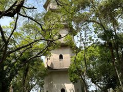 -江心屿景区