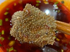 -巴蜀大宅门火锅(新华公园店)