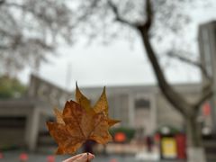 -刘长兴(逸仙桥店)