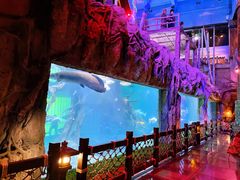 -华夏文旅海洋公园