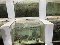 -海盗餐厅
