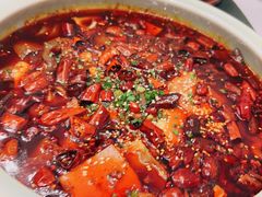沸腾毛血旺-沸腾鱼乡(知春路分店)