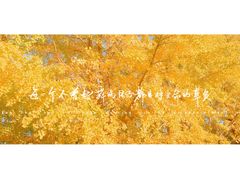 -辽宁大学(崇山校区)