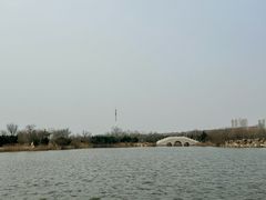 -大港湿地公园