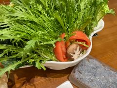 -福成肥牛(张家口桥东分店)
