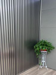 -跳动全城舞蹈