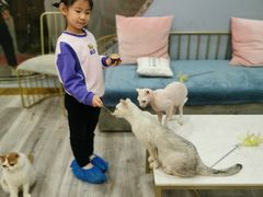 -BABIT巴比特宠物(MOMOPARK店)