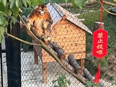 -武汉动物园
