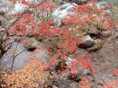 -丹东天桥沟景区