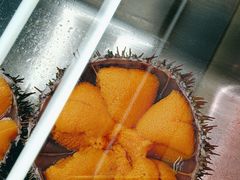 -常鲜楼常来尝鲜海胆馆(星海店)