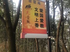 -雨花胜境